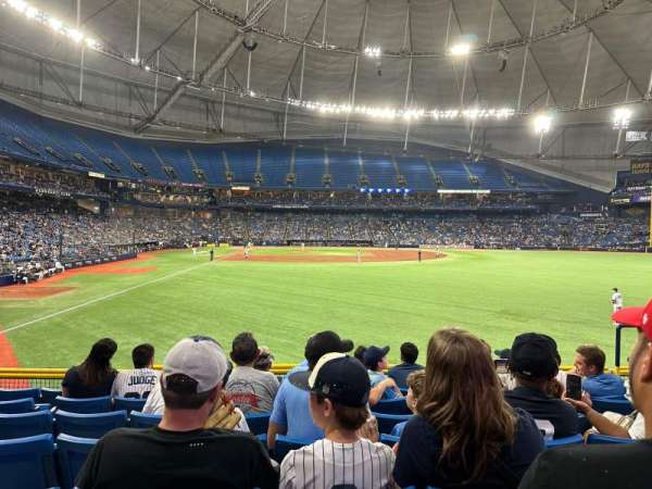 Tropicana Field, section: 142, row: z, seat: 14