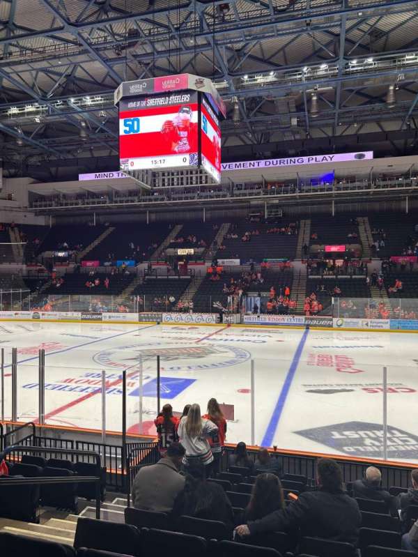Utilita Arena Sheffield, section: 118, row: L, seat: 4
