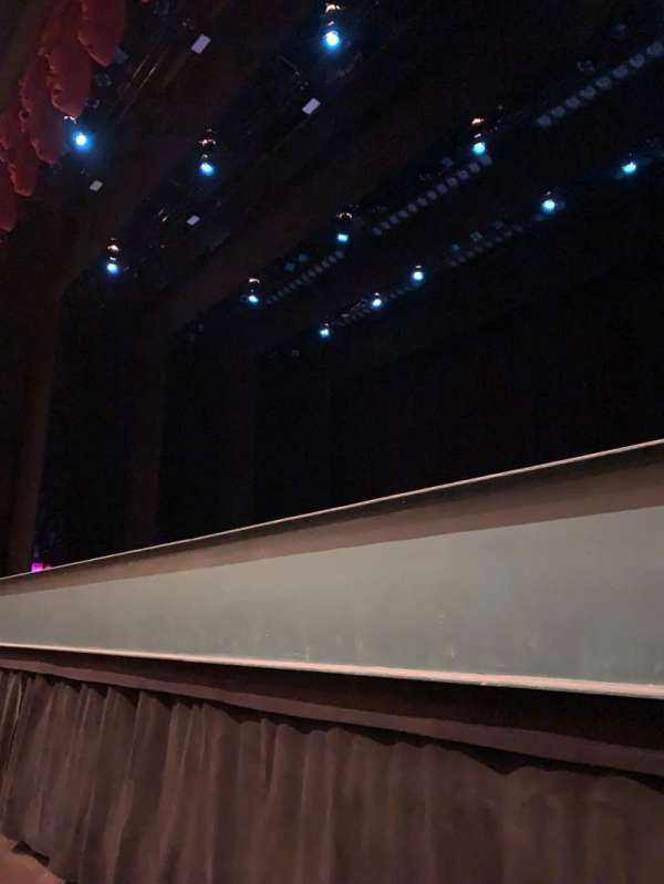 The Joyce Theater, section: Orch, row: A, seat: 6