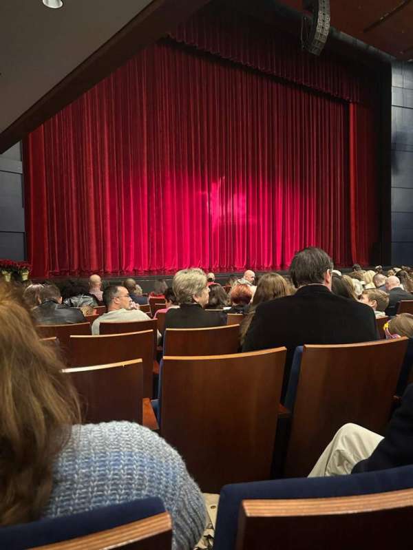 Robinson Performance Hall, section: Orch L, row: J, seat: 309