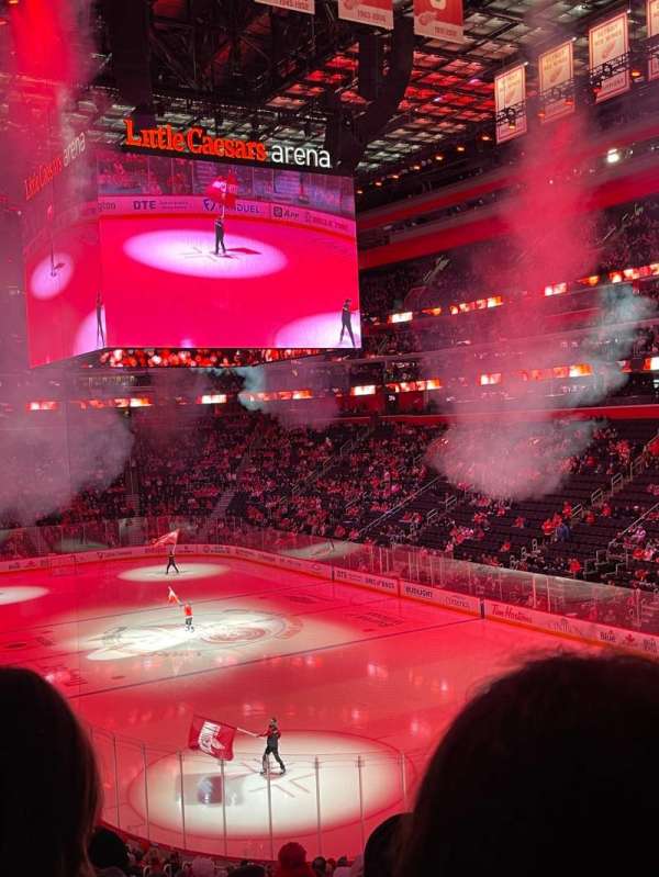 Little Caesars Arena, section: 117, row: 25, seat: 14