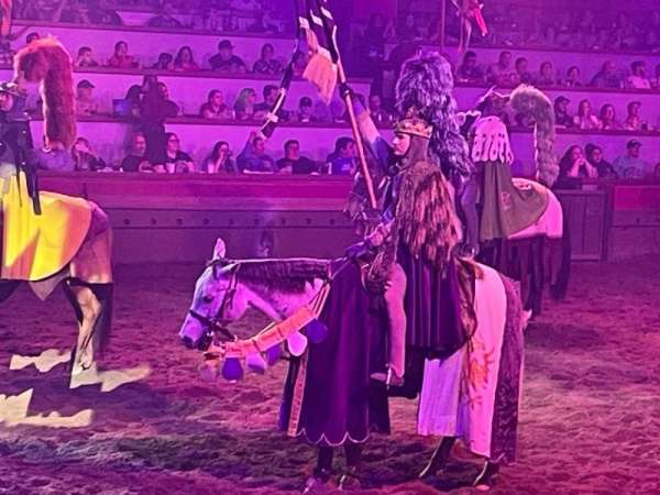 Tournament of Kings Arena, section: Norway