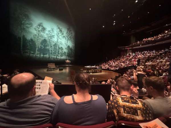Vivian Beaumont Theater, section: Orchestra LC, row: G, seat: 208