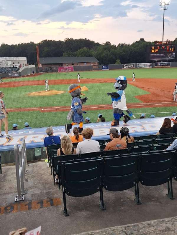 Ripken Stadium, section: 205, row: A, seat: 9