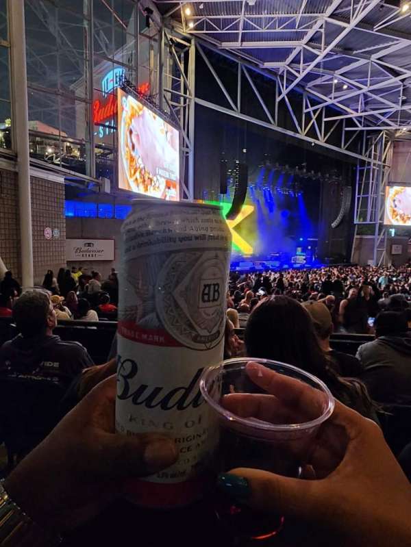 RBC Amphitheatre, section: 305, row: C, seat: 24