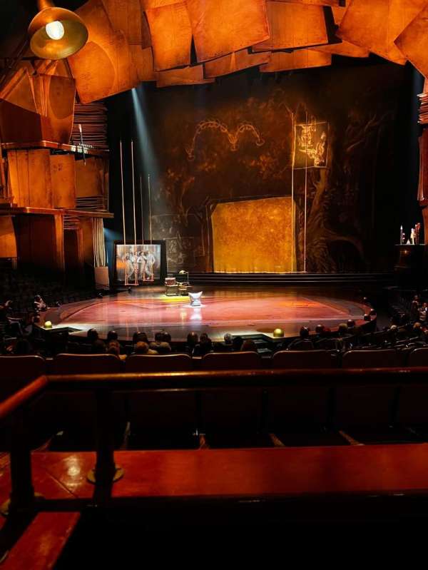 The Drawn to Life Theatre at Disney Springs, section: 203, row: J, seat: 17