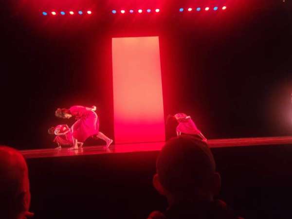 the joyce theater, section: Orch, row: B, seat: 108