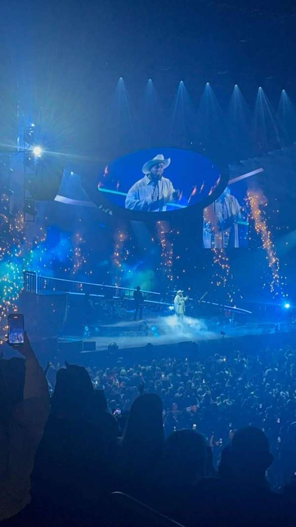 OVO Arena, Wembley, section: S, row: L, seat: 96