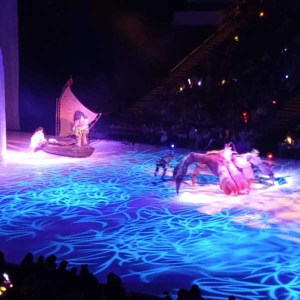 intrust bank arena, section: 113, row: ADA, seat: 9
