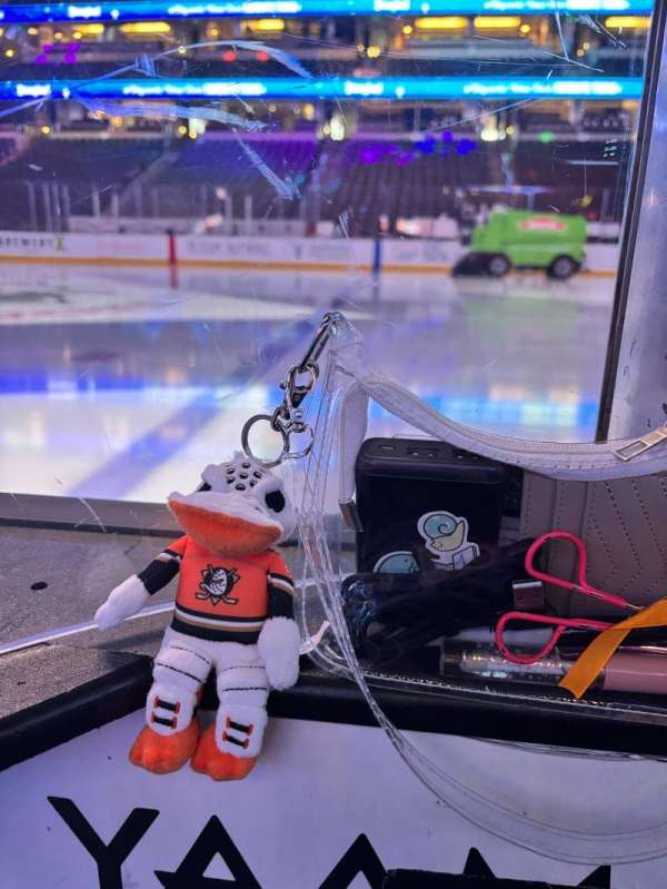 Honda Center, section: 207, row: 1, seat: 7
