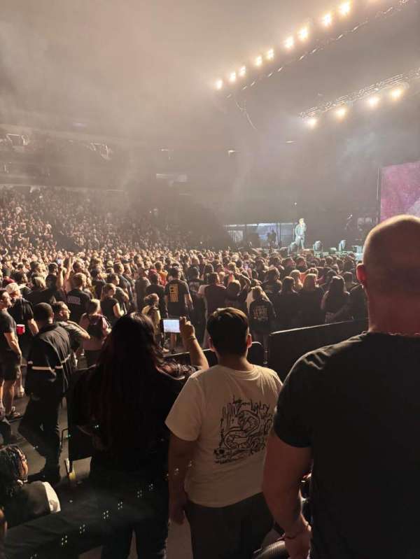 American Airlines Center, section: 106, row: C, seat: 13