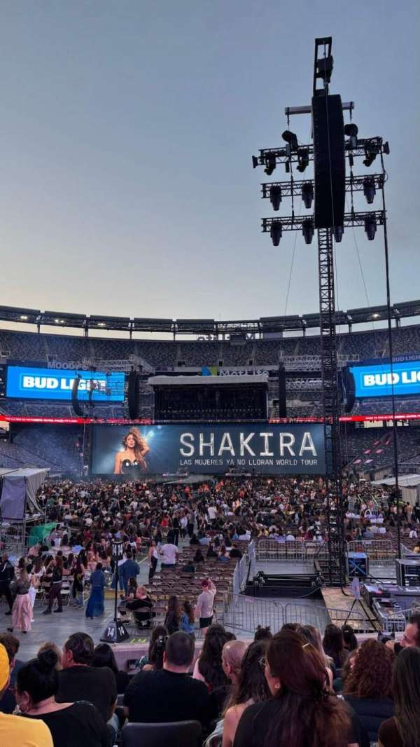 MetLife Stadium, section: 124, row: 10, seat: 10