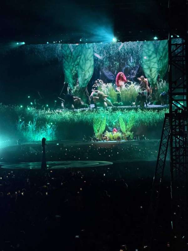 MetLife Stadium, section: 124, row: 17, seat: 12
