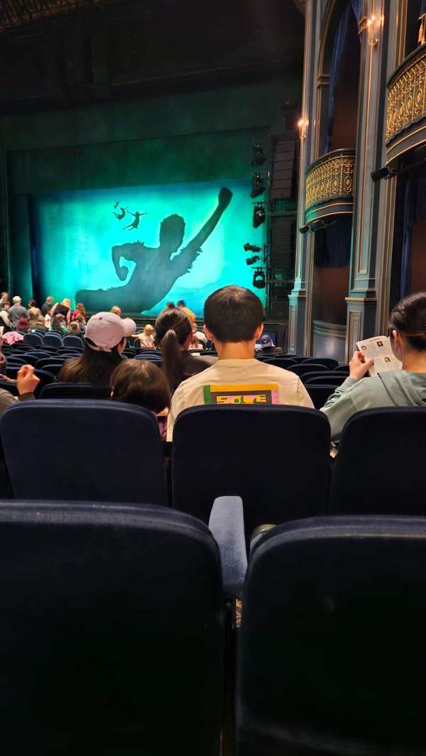 Ed Mirvish Theatre, section: Orchestra R, row: N, seat: 46