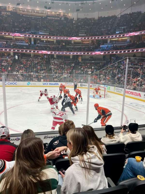 Honda Center, section: 206, row: F, seat: 5