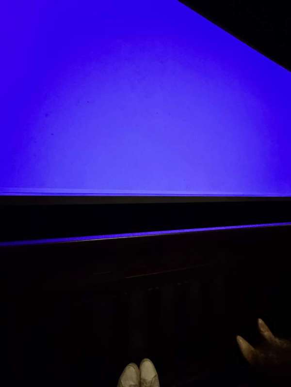 Palace Theatre, Broadway, section: Orchestra L, row: AA, seat: 111