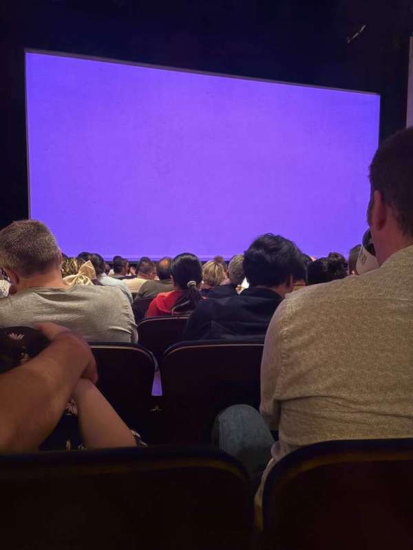 Palace Theatre, Broadway, section: Orchestra L, row: L, seat: 113