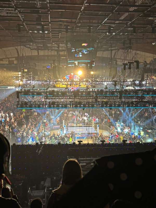Allstate Arena, section: 207