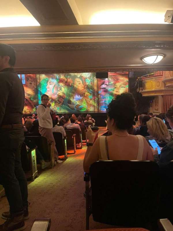 James Earl Jones Theatre, section: Orchestra R, row: P, seat: 2