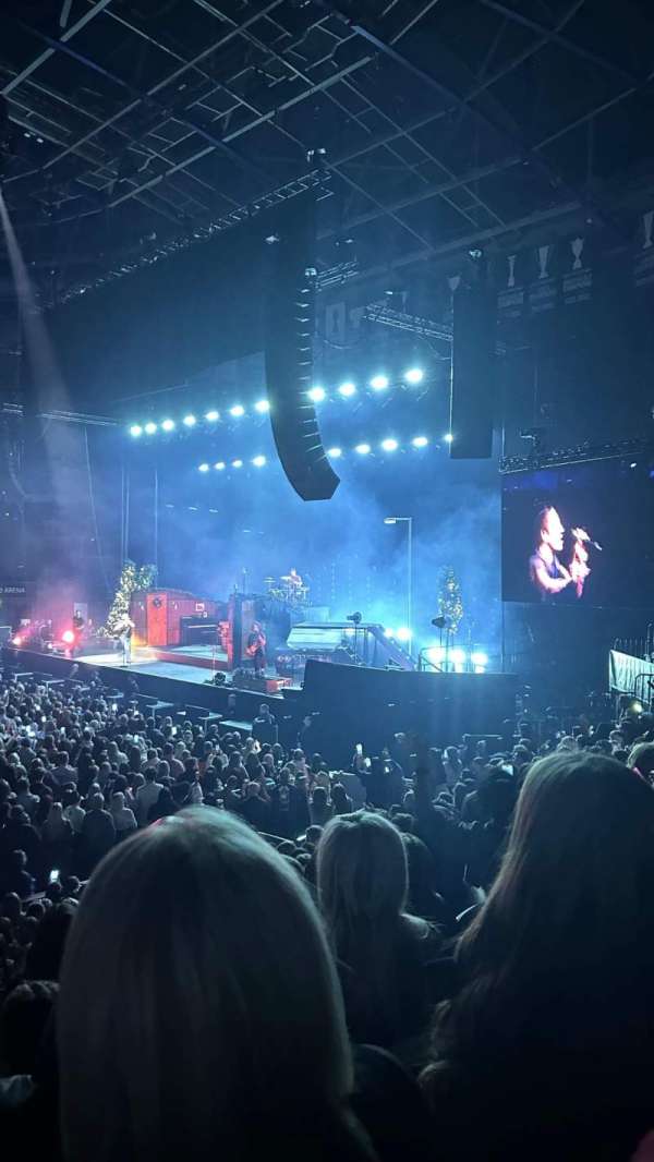 SSE Arena Belfast, section: South