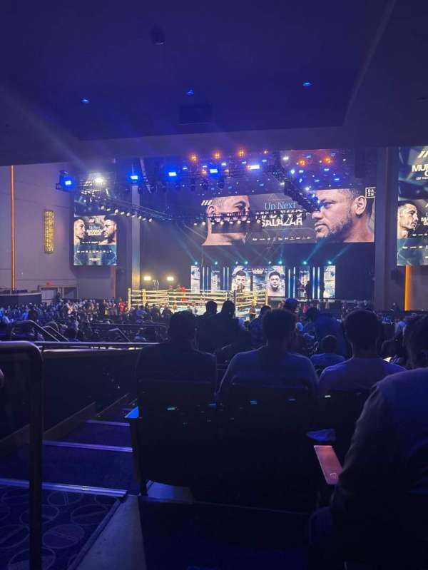BleauLive Theater, section: 203, row: L, seat: 20