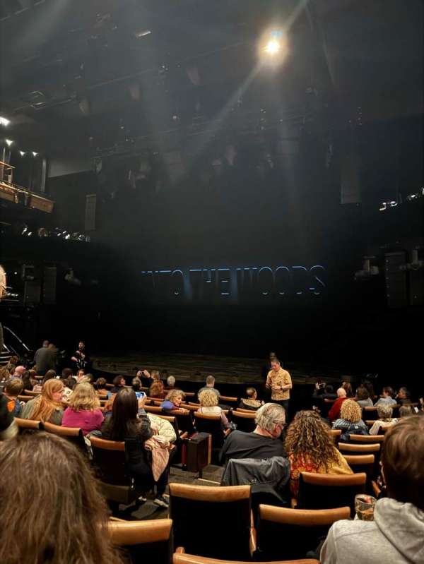 Bridge Theatre, section: Stalls, row: L, seat: 7
