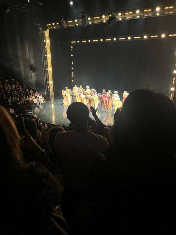 Vivian Beaumont Theater, section: Orchestra C, row: P, seat: 409