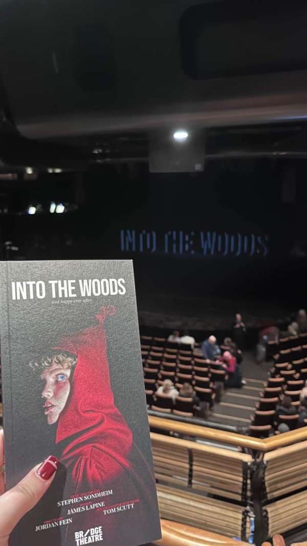 Bridge Theatre, section: Gallery 1, row: C, seat: 30