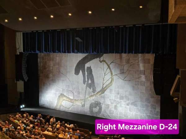 Zellerbach Hall, section: Right Mezzanine, row: D, seat: 34