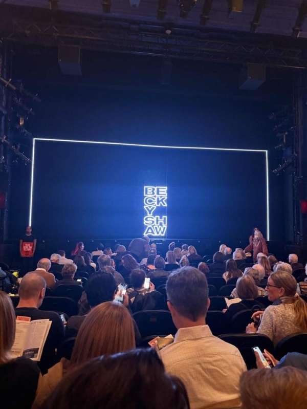 Hayes Theater, section: Orchestra C, row: M, seat: 110