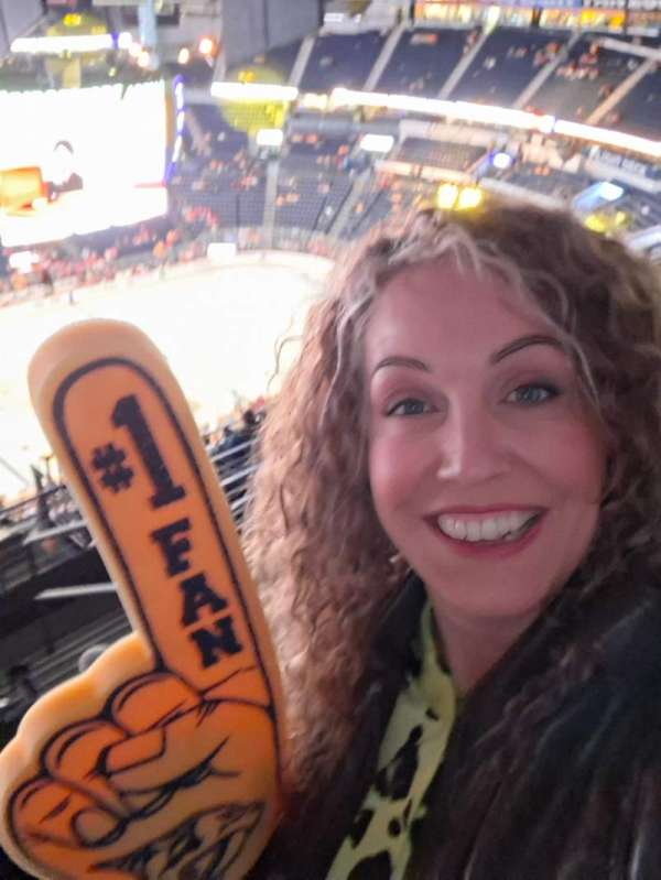 Bridgestone Arena, section: 308, row: N, seat: 17