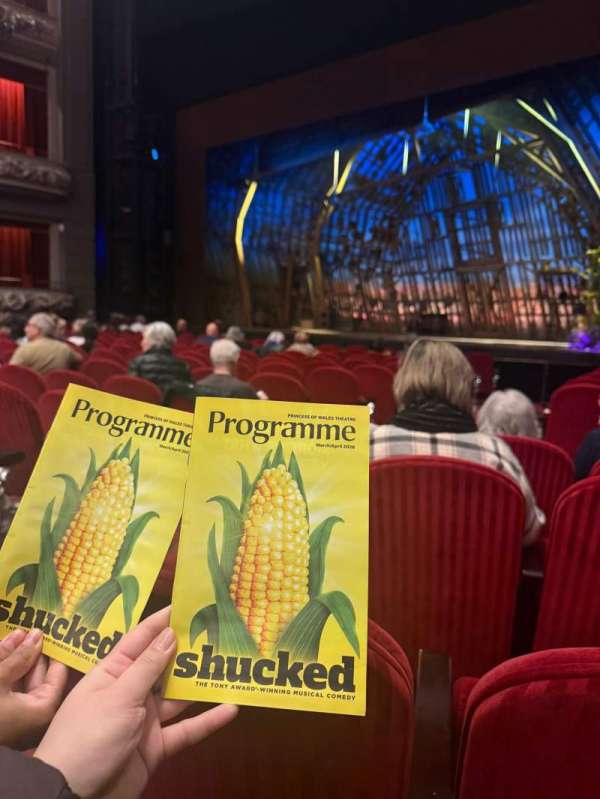 Princess of Wales Theatre, section: Orchestra R, row: C, seat: 13