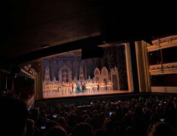 Royal Opera House, section: Stalls Circle, row: D (Standing), seat: 13