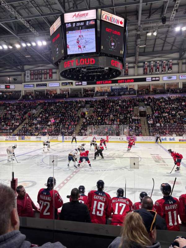 WFCU Centre, section: 115, row: F, seat: 4