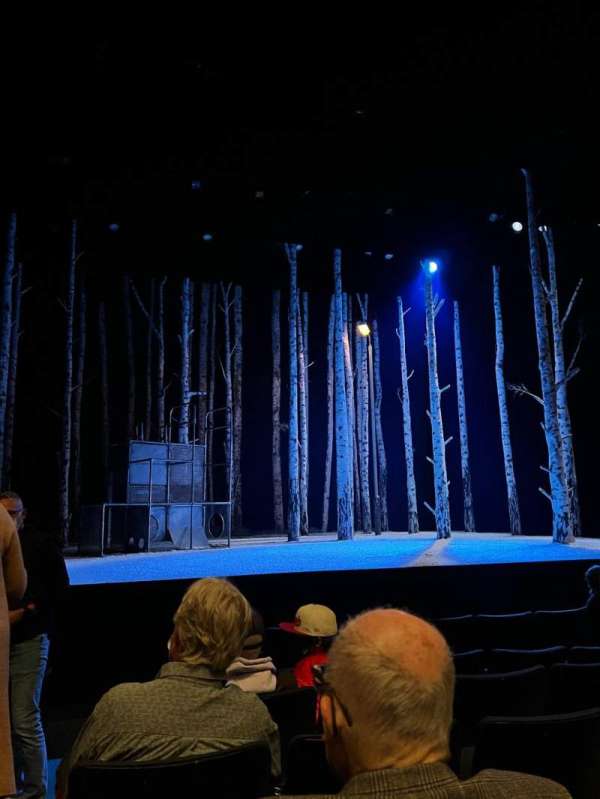 The Roda Theatre at the Berkeley REP, section: Orchestra, row: E, seat: 115