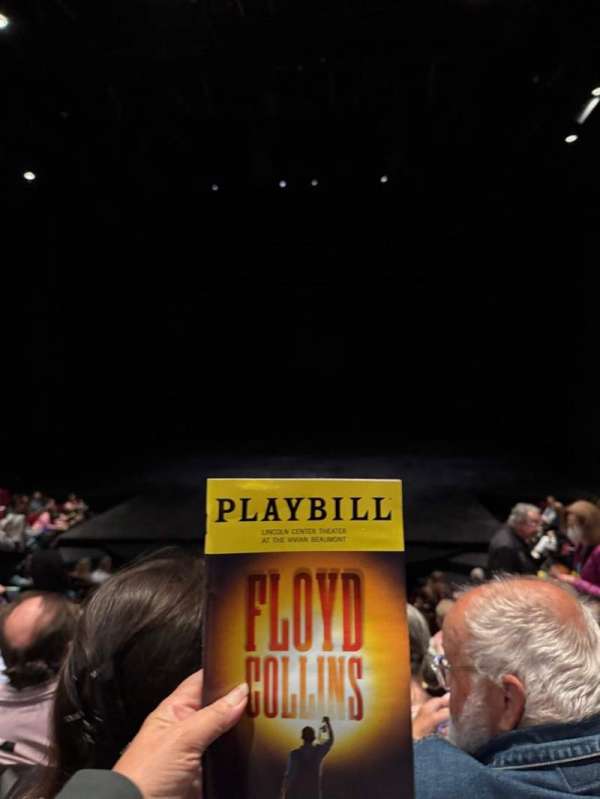 Vivian Beaumont Theater, section: Orchestra C, row: N, seat: 311