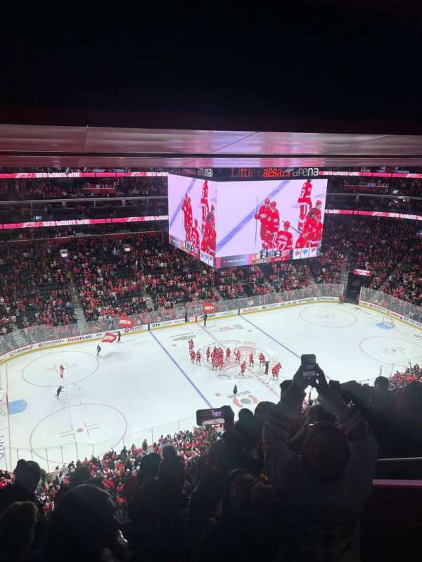 Little Caesars Arena, section: 229, row: 6, seat: 6