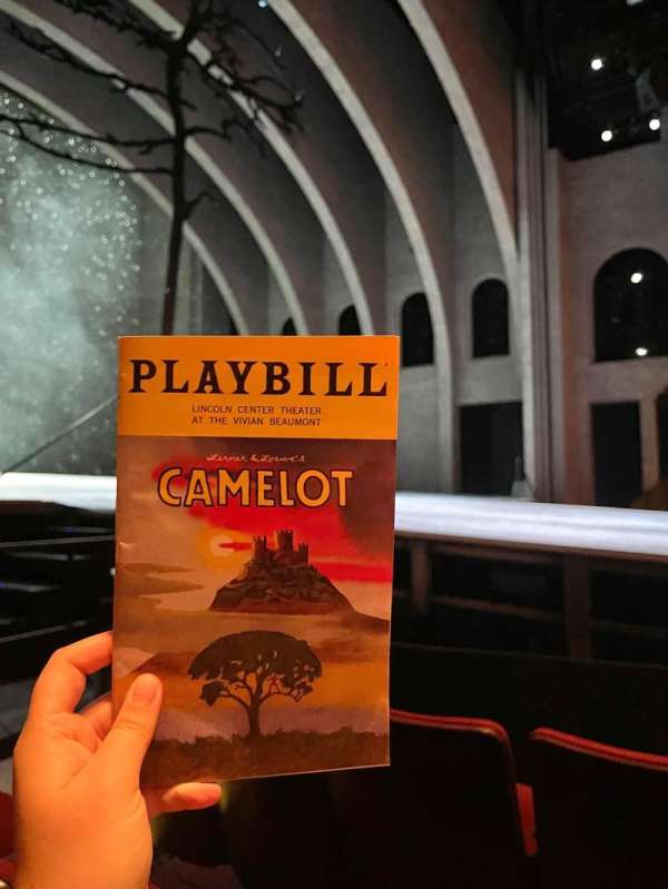 Vivian Beaumont Theater, section: Orchestra L, row: E, seat: 107
