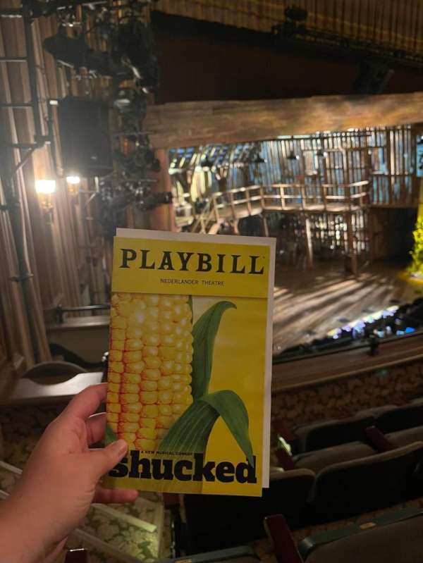 Nederlander Theatre, section: Mezzanine L, row: D, seat: 29