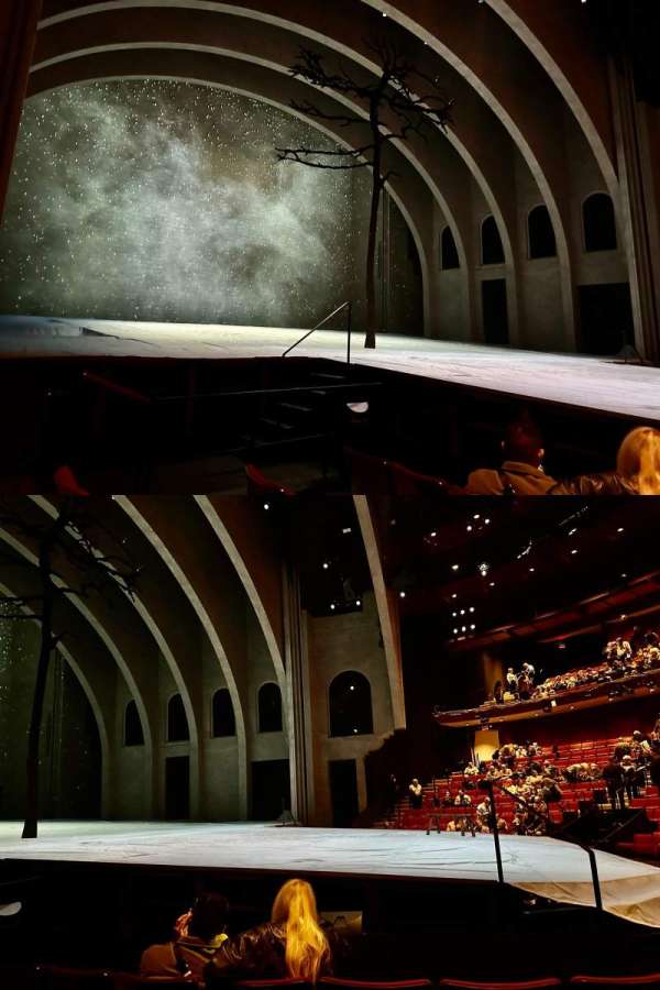 Vivian Beaumont Theater, section: Orchestra L, row: F, seat: 107