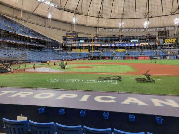 Tropicana Field, section: 116, row: n, seat: 5