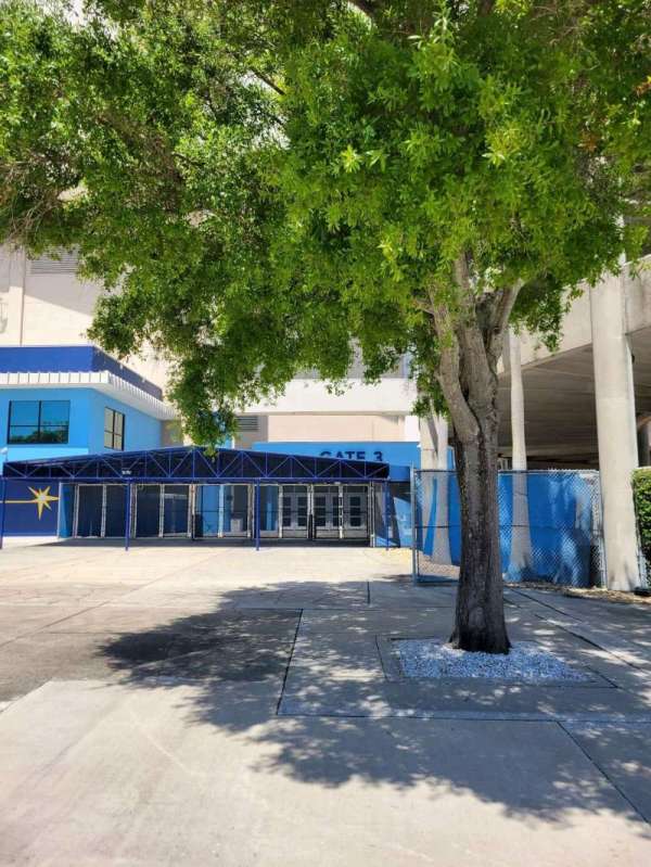 Tropicana Field, section: Gate 3