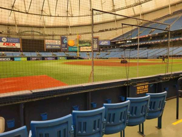 Tropicana Field, section: 125, row: d, seat: 5