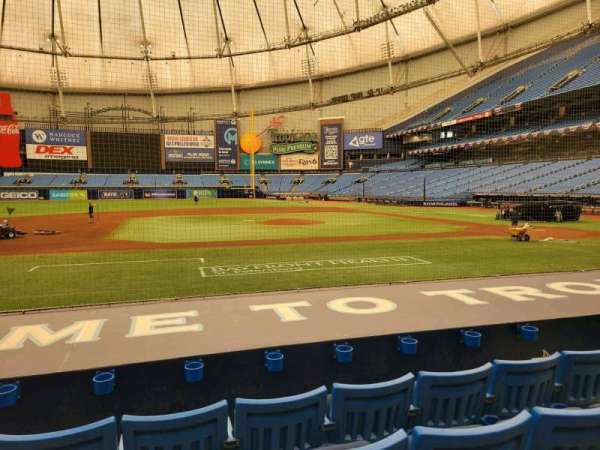 Tropicana Field, section: 115, row: n, seat: 5