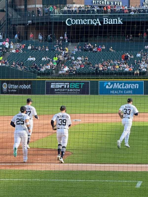 Comerica Park, section: 133, row: 15, seat: 15