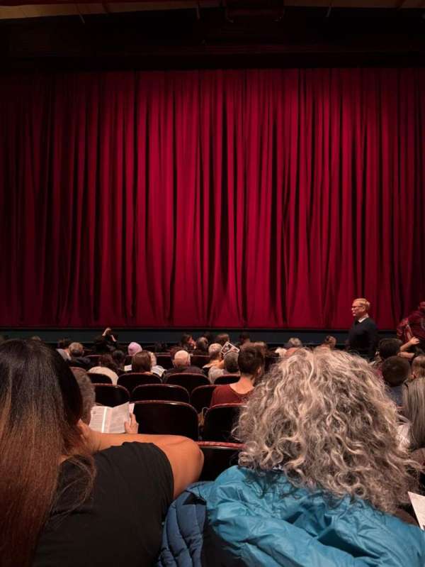 The Joyce Theater, section: Orch, row: K, seat: 109