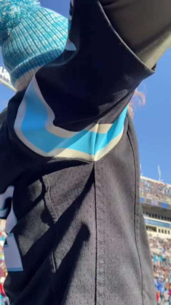 Bank of America Stadium, section: 103, row: 11, seat: 10-11