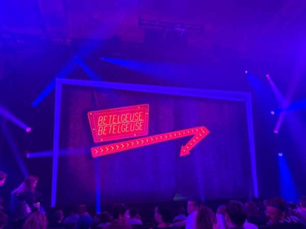 Winter Garden Theatre, section: Orchestra C, row: L, seat: 113