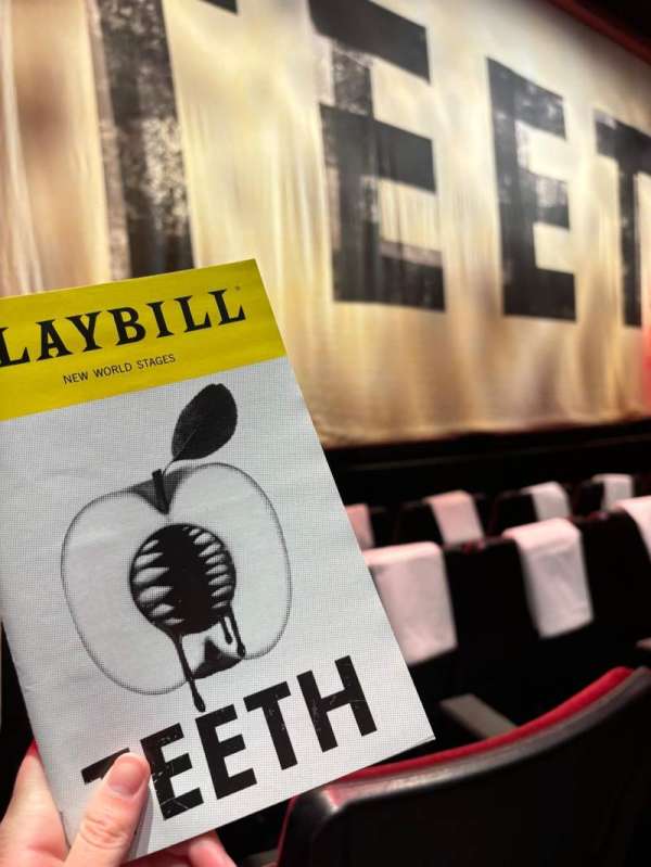 New World Stages - Stage 1, section: Orchestra C, row: D, seat: 101