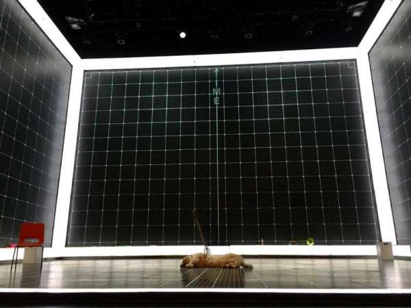 Reynolds Hall at The Smith Center, section: Orchestra C, row: BB, seat: 208